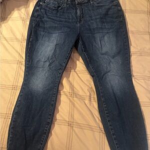 Judy Blue Dark Wash Skinny Jeans